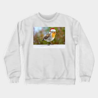 Festive Robin Crewneck Sweatshirt